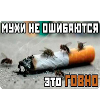 гавно - Спреи для css