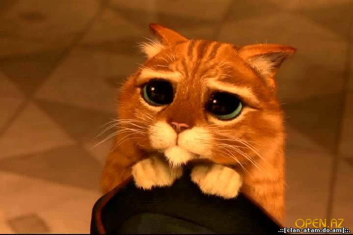 Стылі маўлення